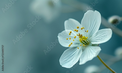 Simple close-up flower, Generative AI 