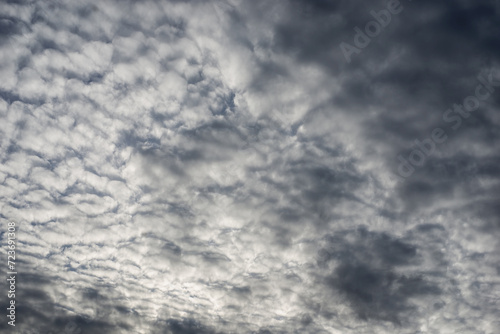 Closeup of grey fluffy sky background 