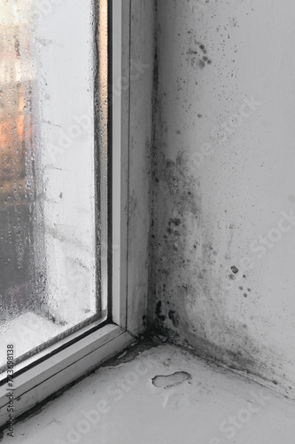 due to the humidity of the window, mold on the wall