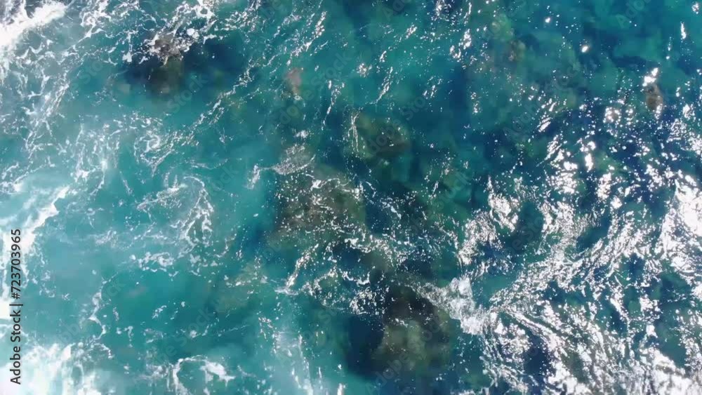 Turtle is pulled through the rocks by waves as it feeds and takes breathing breaks Turtle is pulled through the rocks by waves as it feeds and takes breathing breaks