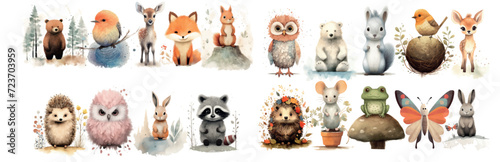 Adorable Collection of Watercolor Forest Animals and Birds, Hand-Drawn and Highly Detailed, Perfect for Children’s Book Illustrations or Decor