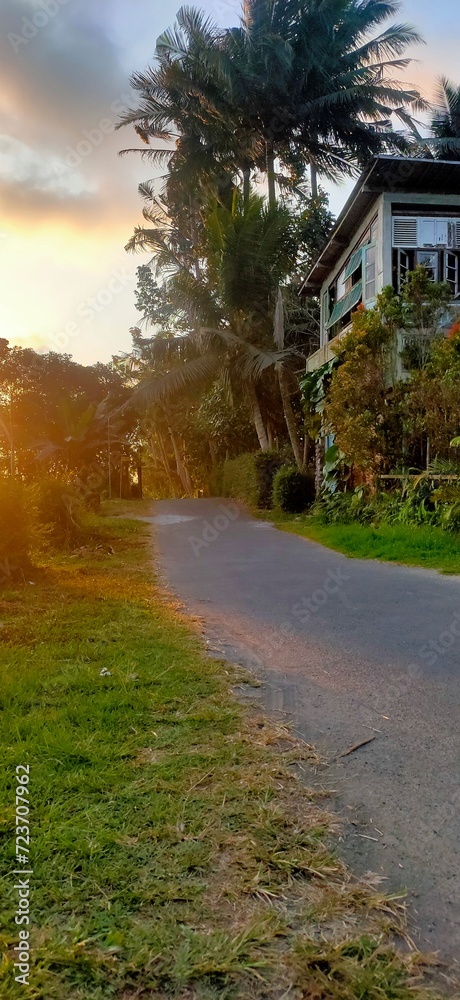 Fototapeta premium sunset on the tropic country side road