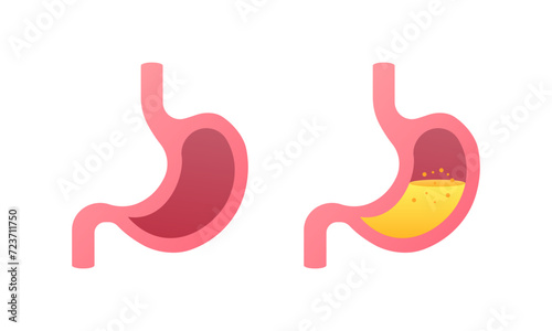 Stomach icons. Flat style. Vector icons
