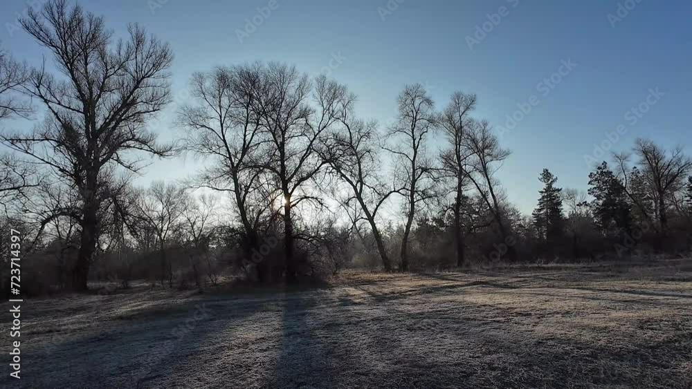 forest in frost. dawn through the trees. spring is coming. time lapse of snowy forest scenery. sunlight moving through woods. Rising sun breaks through the snow covered branches of the fir tree. forest in frost. dawn through the trees. spring is coming. time lapse of snowy forest scenery. sunlight moving through woods. Rising sun breaks through the snow covered branches of the fir tree.