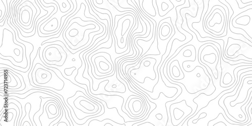 White wave paper curved reliefs abstract background black and white, Background of the topographic line map. Topographic map patterns abstract white topography vector background.