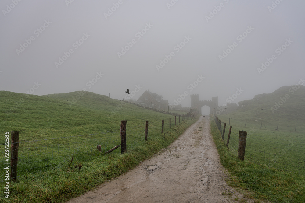 einsamer Feldweg im Nebel