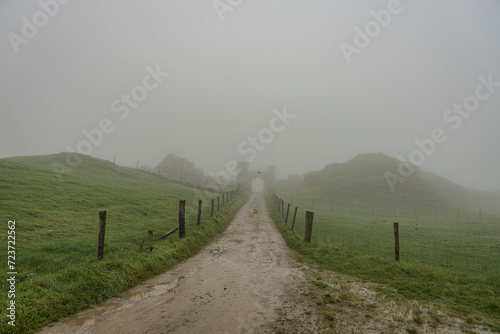 einsamer Feldweg im Nebel