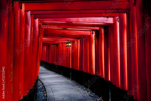 Kyoto, Japan photo