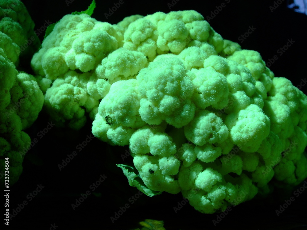 cauliflower and broccoli cauliflower and broccoli