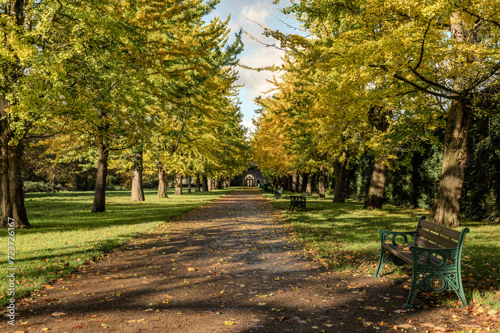 Naklejka premium Stadtpark in Cardiff (Wales)