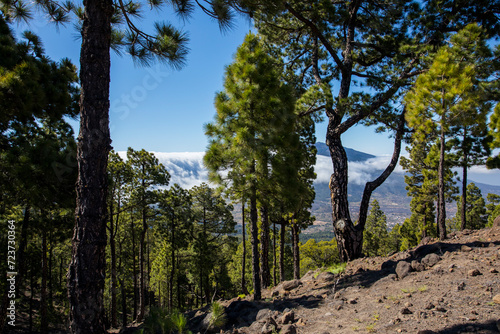 Landscape in Bejenado Peak in Caldera de Taburiente, La Palma, Spain
