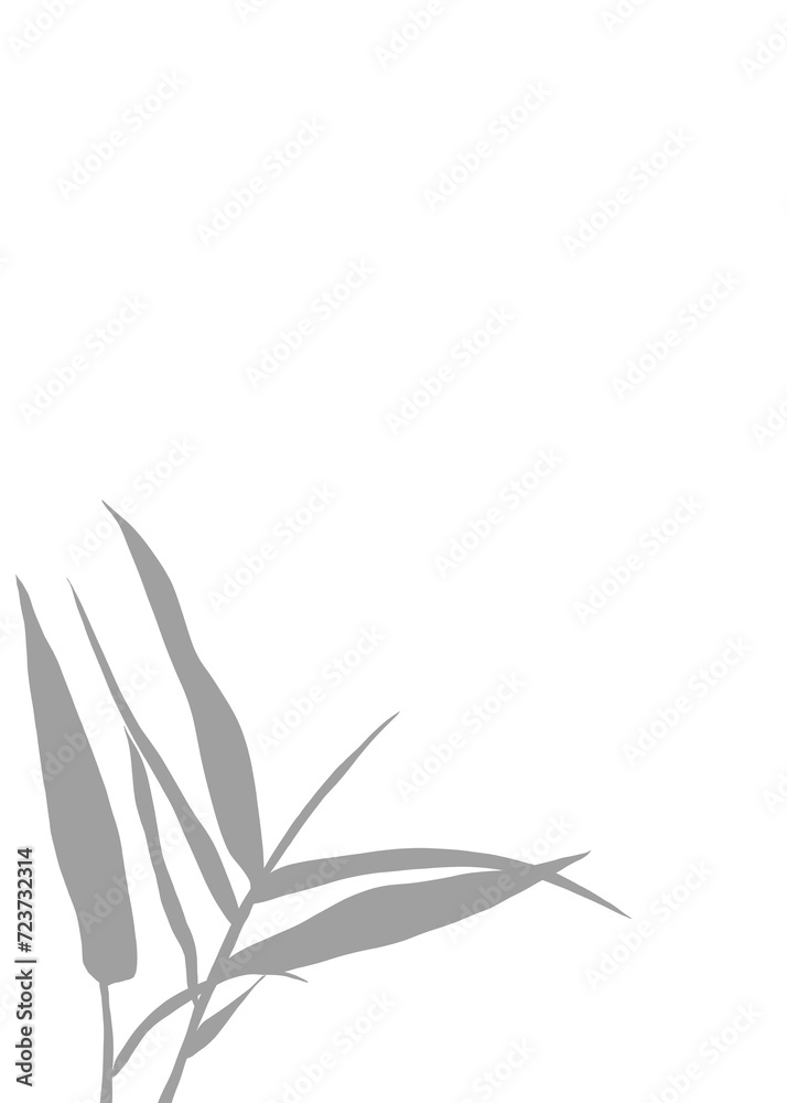 Grey Silhouette of Bamboo Leaves on Isolated Background. Black shadows illustration of bamboo leaf against, perfect for a peaceful and natural themed graphic element. Grey Silhouette of Bamboo Leaves on Isolated Background. Black shadows illustration of bamboo leaf against, perfect for a peaceful and natural themed graphic element.