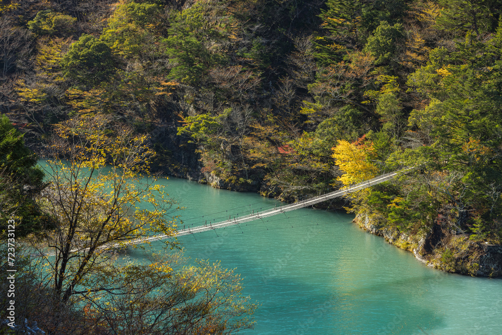日本　静岡県川根本町、寸又峡の夢の吊り橋と仄かに紅葉した木々
