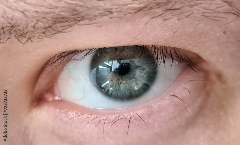 Obraz premium Close up young mans eye, look from under eyelids. Eye movements and gaze direction. True intentions and emotional state man. Look creates serious atmosphere, business communication