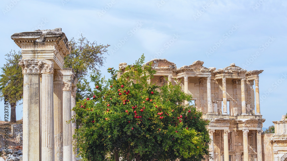 Hadrian's Gate in ancient Ephesus with beautiful pomegranate tree at foreground. Library of Celsus at background. Selcuk, Izmir, Turkey