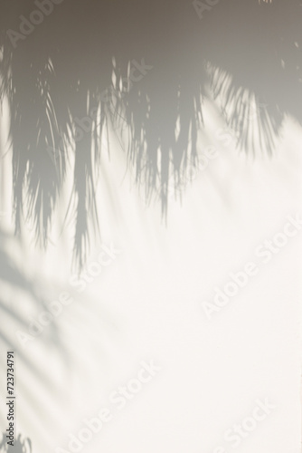 Light background with shadow from palm leaves on wall