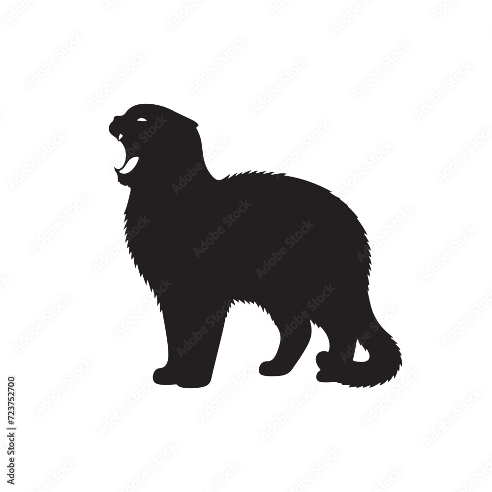 Enigmatic Grace: Scottish Fold Cat Silhouette Set Depicting the Intricate Beauty of Feline Shadows - Scottish Fold Cat Illustration - Scottish Fold Cat Vector
