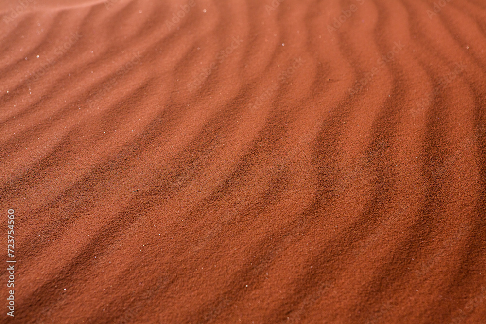 Wadi Rum Desert in Jordan. On the Sunset. Panorama of beautiful sand pattern on the dune. Desert landscape in Jordan. Travel concept. Freedom Wadi Rum Desert in Jordan. On the Sunset. Panorama of beautiful sand pattern on the dune. Desert landscape in Jordan. Travel concept. Freedom