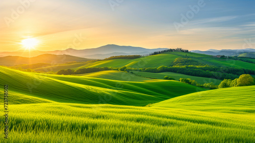 Serene Tuscany Landscape: A Lush Green Meadow