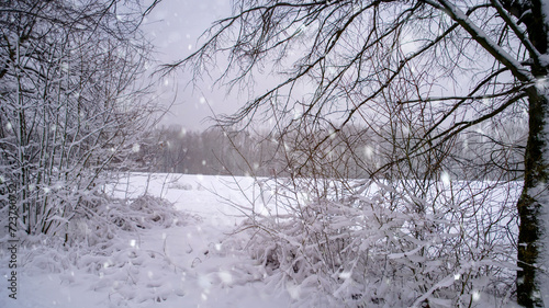 Winterliches Eggegebirge, Teutoburger Wald