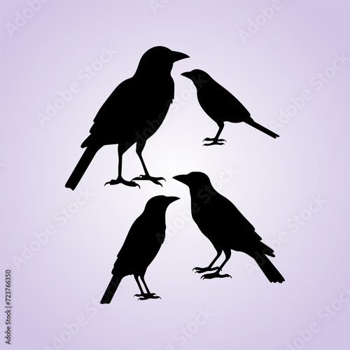 Lark bird black silhouette collection. Creative bird silhouette set. Bird vector and illustration