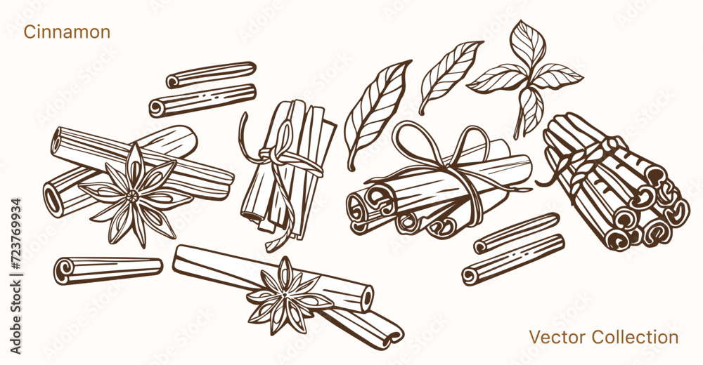 Isolated hand drawn vector set of cinnamon in engraving style. Braun and chocolate colors. Cinnamon sticks and star anise. Style spice and flavor object. Cooking and aromaterapy ingredient. Isolated hand drawn vector set of cinnamon in engraving style. Braun and chocolate colors. Cinnamon sticks and star anise. Style spice and flavor object. Cooking and aromaterapy ingredient.