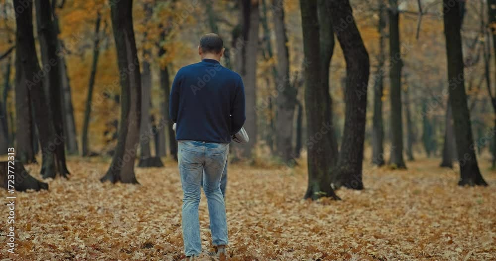 little boy and his dad playing together in park in beautiful autumn day, 4K, Prores little boy and his dad playing together in park in beautiful autumn day, 4K, Prores