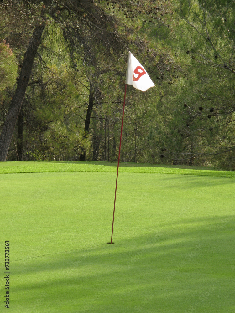 Obraz premium Green golf