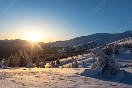 Fototapeta Naklejka Na Ścianę i Meble -  amazing mountain winter landscape with fir trees at dawn. natural Christmas background