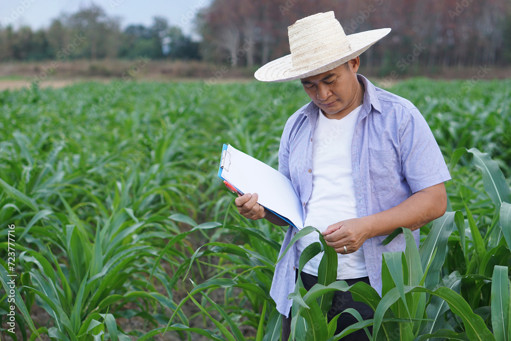 Φωτογραφία Handsome Asian man farmer is inspecting growth and diseases of plants in garden, wears hat, holds paper clipboard