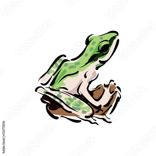 vector cute frog cartoon style on a white background