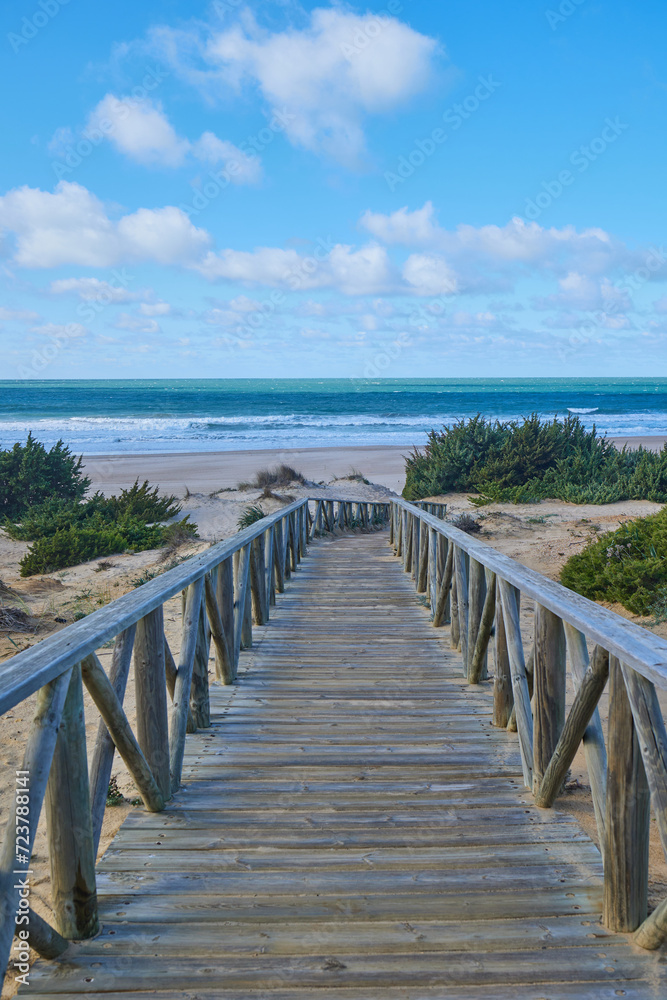 Wooden path to the sea through sand dunes overgrown with bushes