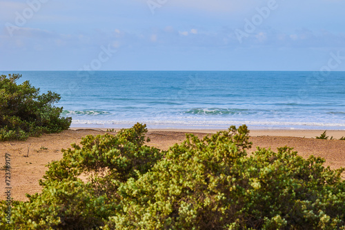 Sand dunes overgrown with bushes against the backdrop of a deserted beach and the endless blue ocean.