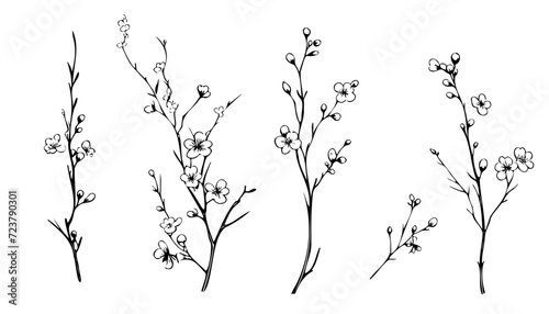 Tree branch engraving. Hand drawn forest twigs. Dry wood log and lumber rustic graphic templates. Natural spring elements set. Vector black and white drawing plant trunks