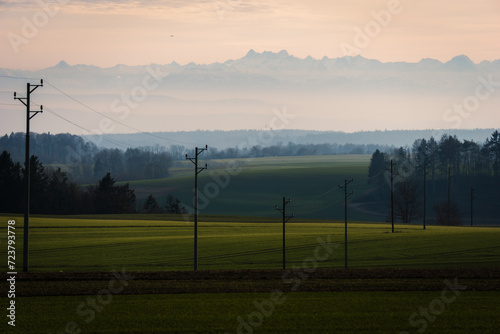 Powerline on a field with alps in the background