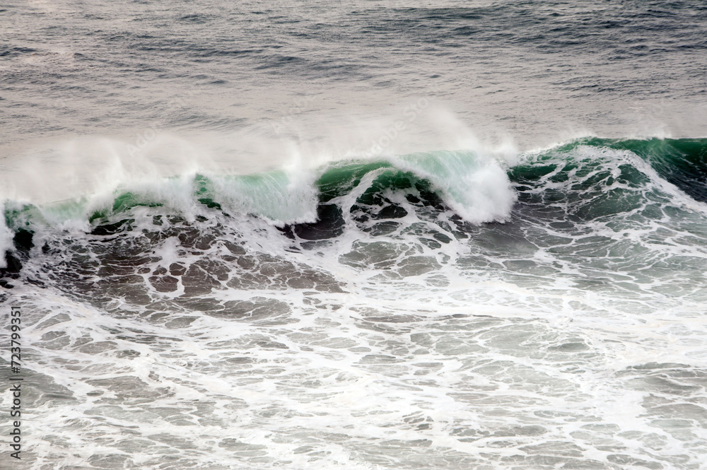 Fototapeta premium Beautiful green wave with lambs and fam spins in the ocean