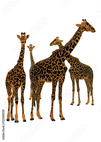 African giraffe vector illustration