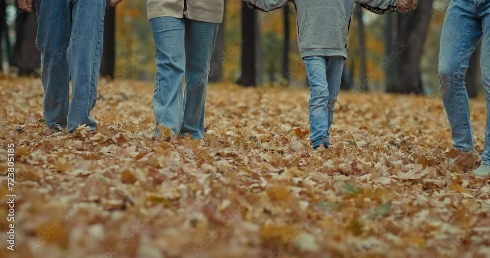happy family kicking dry leaves in beautiful park in autumn day, closeup of legs walking, 4K, Prores happy family kicking dry leaves in beautiful park in autumn day, closeup of legs walking, 4K, Prores