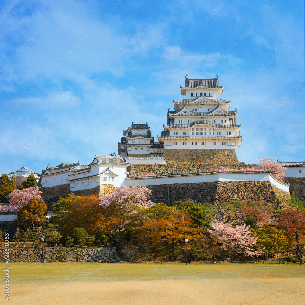 Scenic full bloom cherry blossom at Himeji castle in Hyogo, Japan Scenic full bloom cherry blossom at Himeji castle in Hyogo, Japan