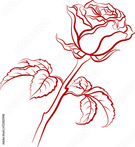 Rose Flower with Leaves Red Contour Isolated on White Background. Vector