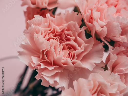 Bouquet of soft pink carnations close-up on a pink background © Natallia