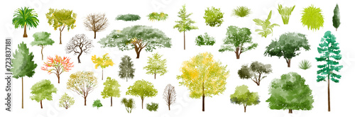 tree watercolor illustration  Minimal style tree painting hand drawn  Side view  set of graphics trees elements drawing for architecture and landscape design. Tropical