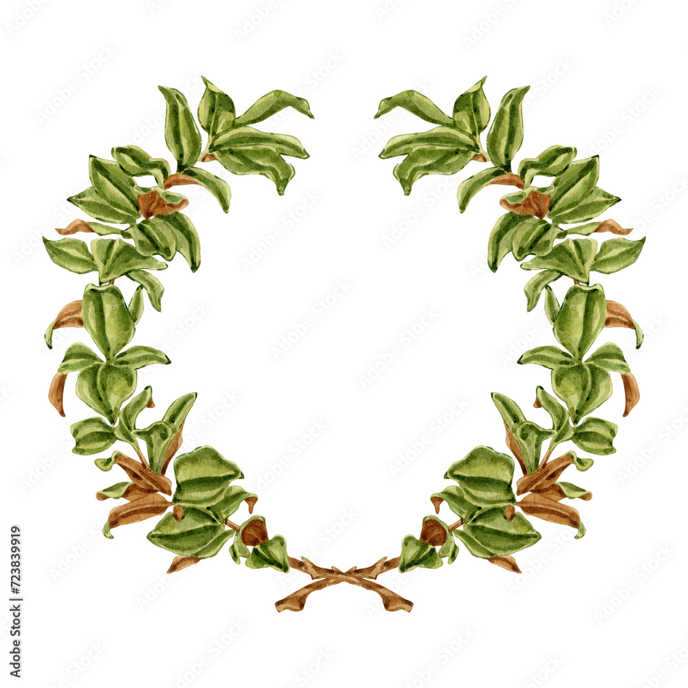 Naklejka premium Watercolor magnolia wreath clipart Illustration