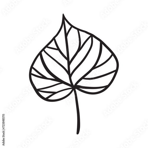 Hand drawing art of leaf. Vector illustration.