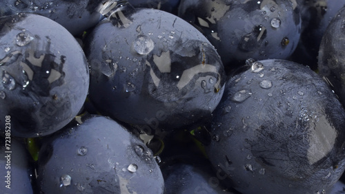 Close-up of berries of dark bunch of grape with water drops