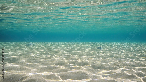 Sandy shallow water in sunburst and glare on seabed sand. Sunlight passes through surface of turquoise water and glares on sandy bottom in shallow water on bright sunny day, Red sea, Egypt