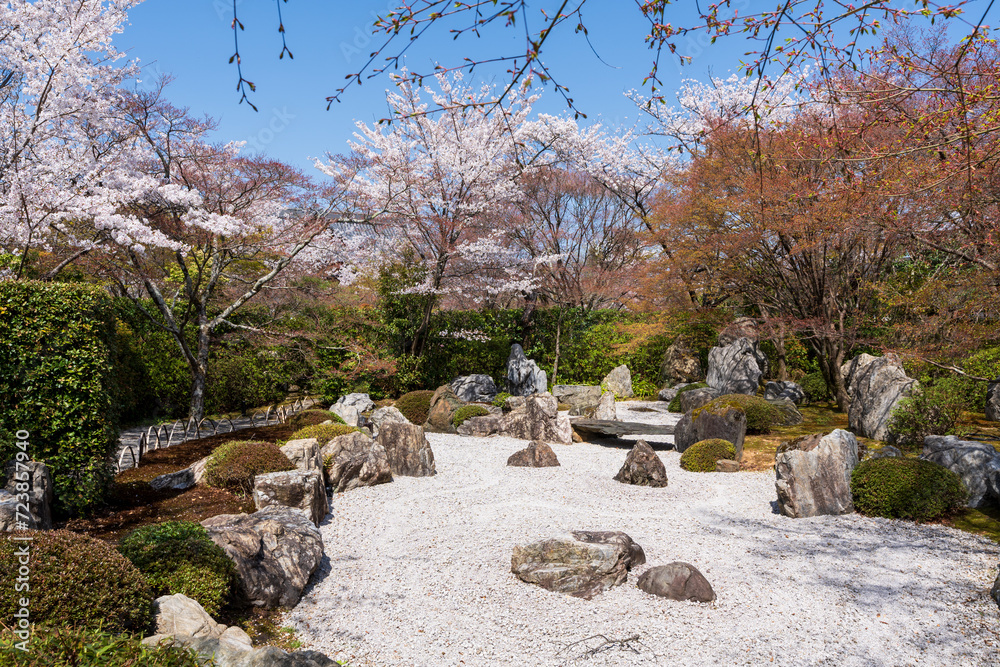 Cherry blossoms in Japanese Zen garden. Shogunzuka Mound and Seiryuden Shorenin Temple. Kyoto, Japan.