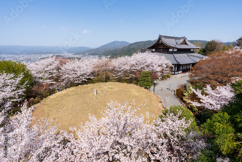 Shogunzuka Mound and Seiryuden Shorenin Temple. Japanese Zen garden and cherry blossoms. Kyoto, Japan. photo