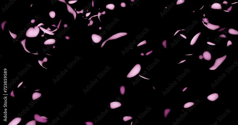 Pink petals of a cherry or apple tree whirl and fly on a dark background, glowing delicate sparks rotate in a slow rhythm, abstract motion cinematics video, 3d rendering Pink petals of a cherry or apple tree whirl and fly on a dark background, glowing delicate sparks rotate in a slow rhythm, abstract motion cinematics video, 3d rendering