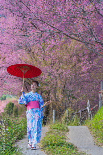 Pretty girl in a Yukata dress. Portrait fashion of Asian women wearing a traditional Japanese kimono or Yukata dress holding a red umbrella with sakura flowers or cherry blossoms blooming in the park. © pomphotothailand